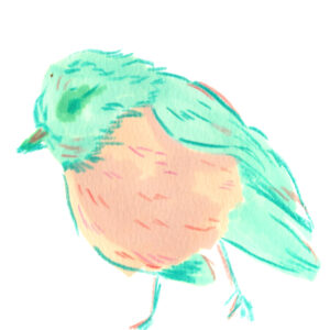 bird illustration